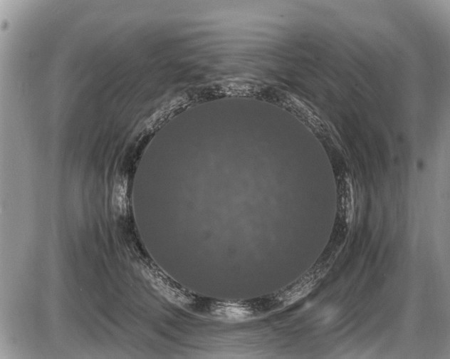 X0000085810610200703231337