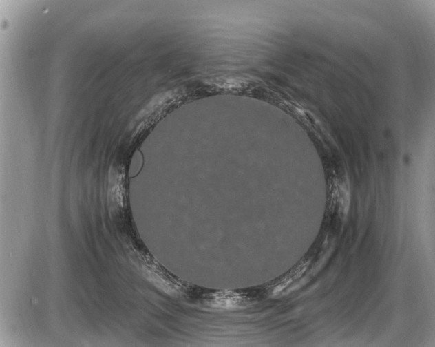 X0000085810612200703231337