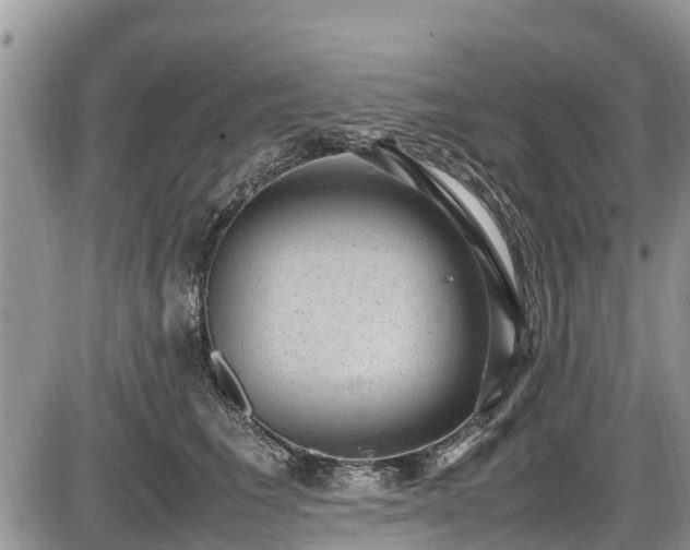 X0000085810613200703231337