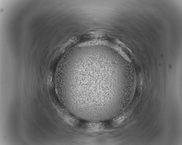 X0000085810615200703231337