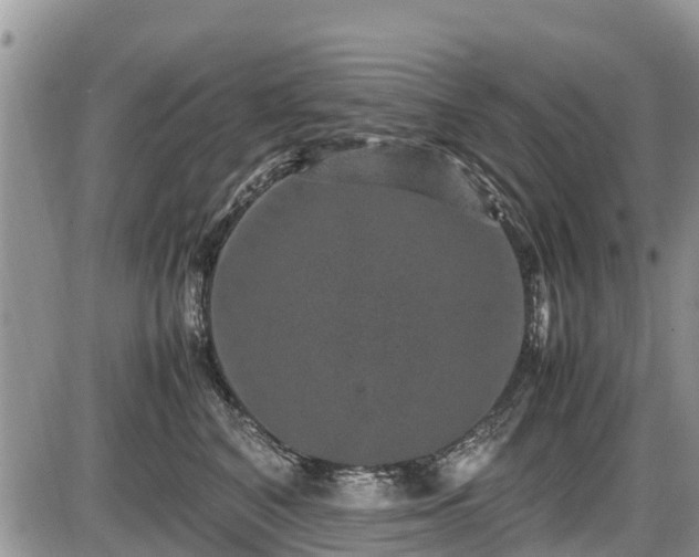 X0000085810616200703231337