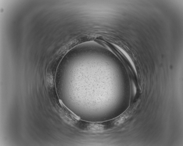 X0000085810617200703231337