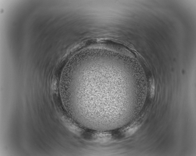 X0000085810619200703231337