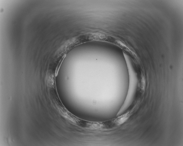 X0000085810621200703231337