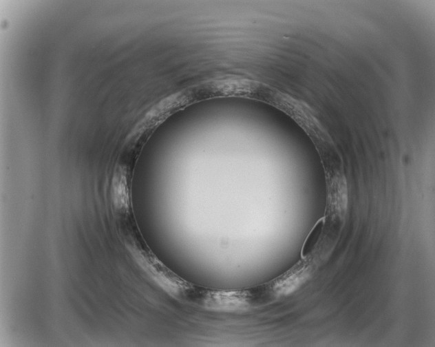 X0000085810622200703231337