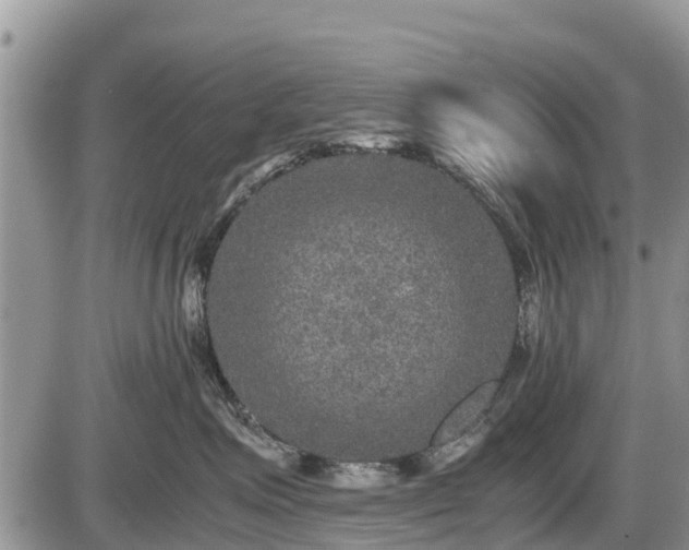 X0000085810623200703231337