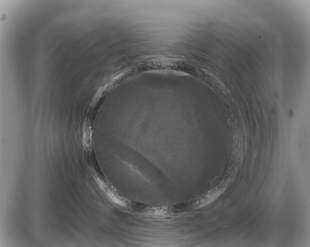 X0000085810624200703231337