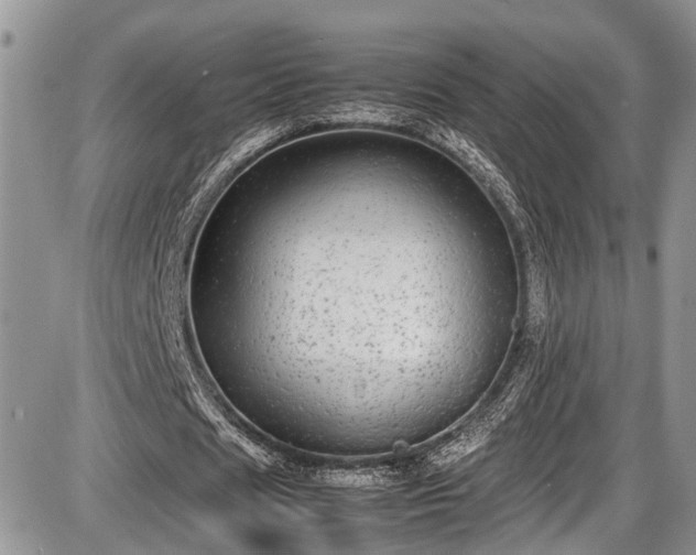 X0000085810625200703231336