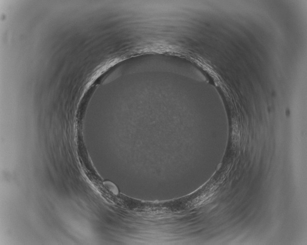 X0000085810626200703231336