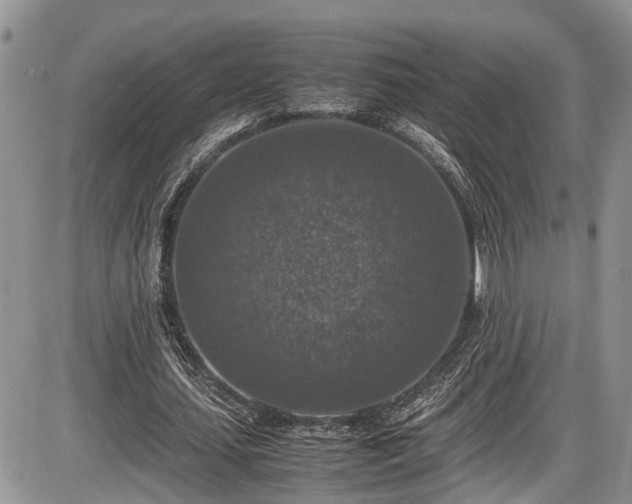 X0000085810627200703231336