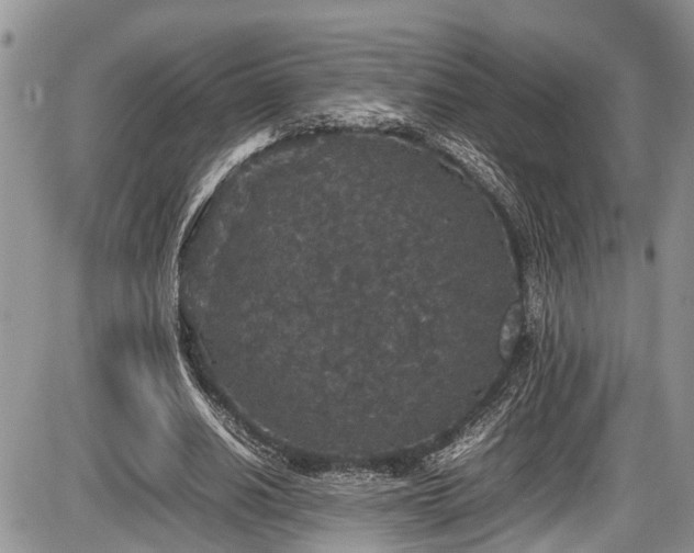 X0000085810630200703231336