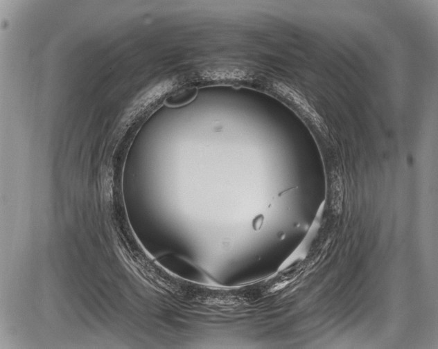 X0000085810631200703231336