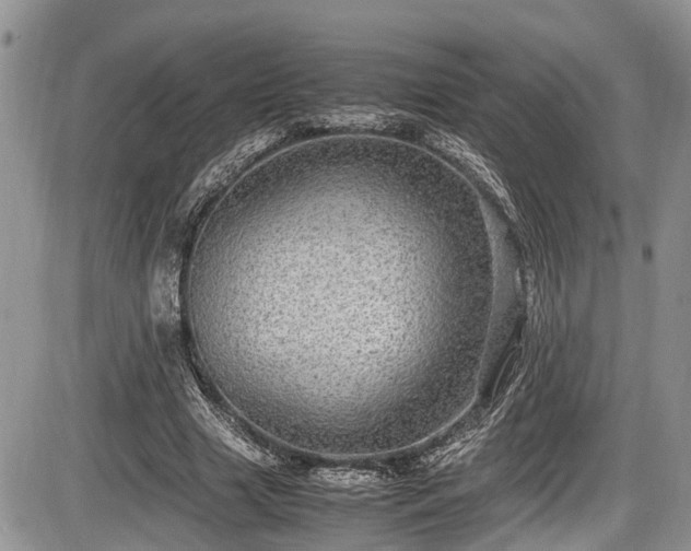 X0000085810633200703231336