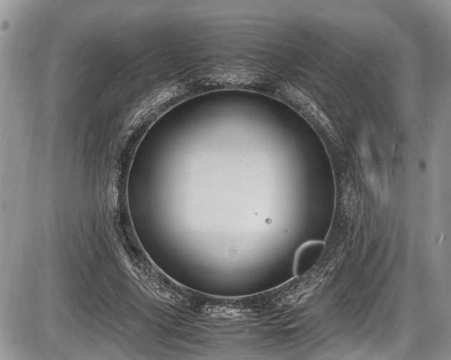 X0000085810635200703231337