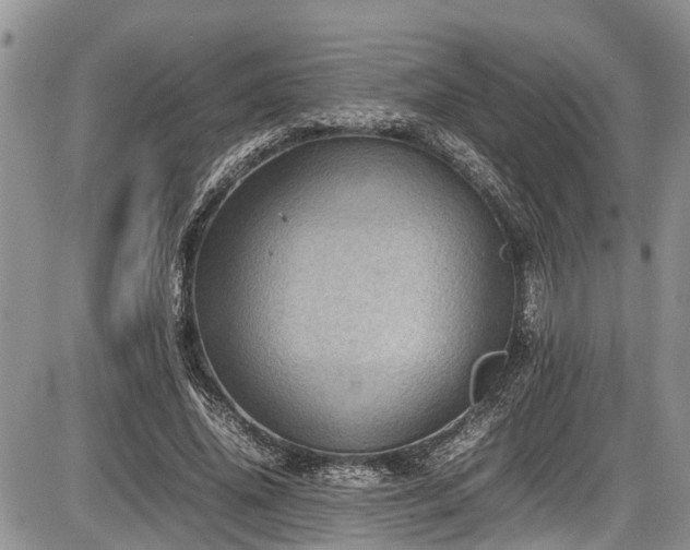 X0000085810636200703231337