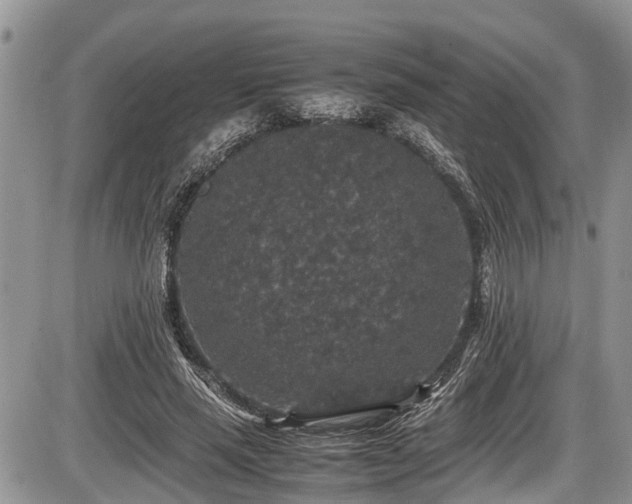 X0000085810637200703231337