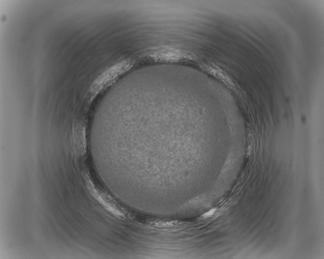 X0000085810638200703231337