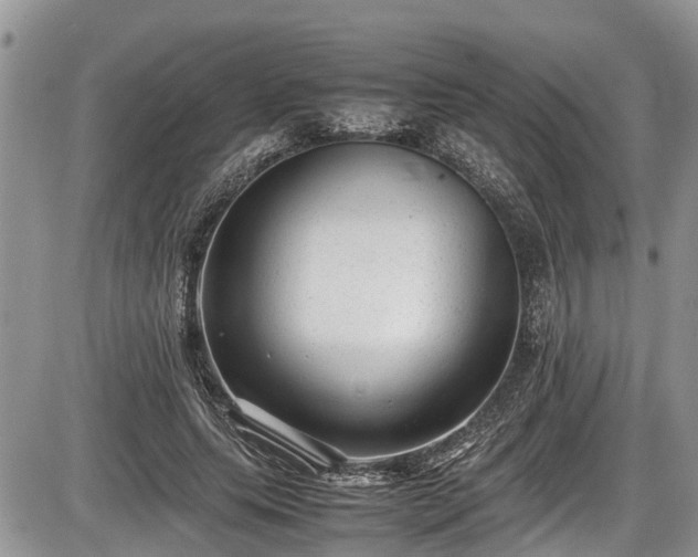 X0000085810639200703231337