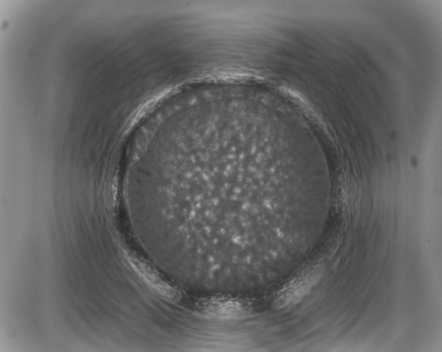 X0000085810640200703231337