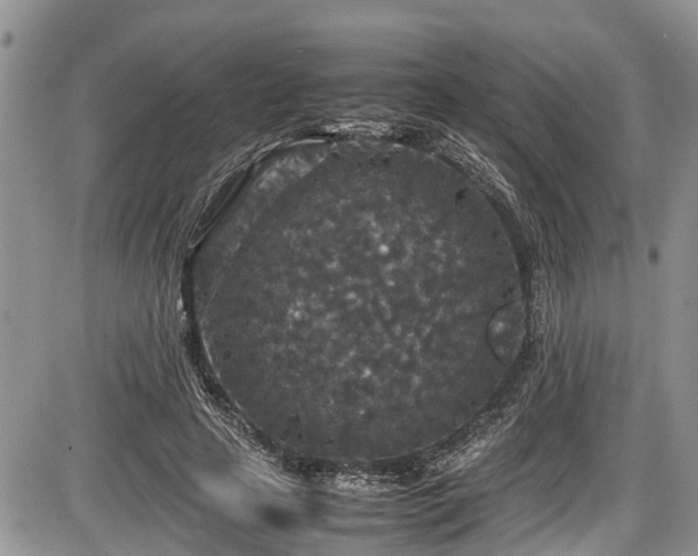 X0000085810641200703231337