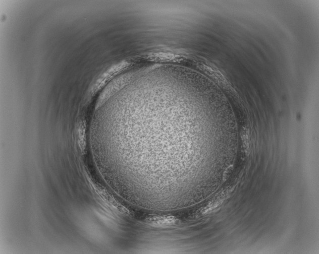 X0000085810642200703231337