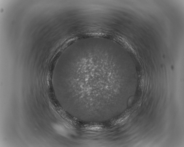 X0000085810643200703231337