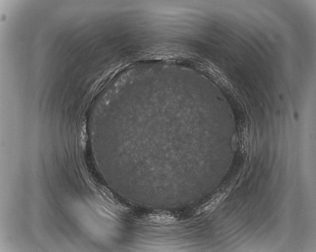 X0000085810644200703231337