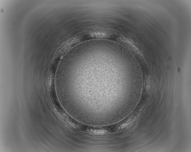 X0000085810645200703231337