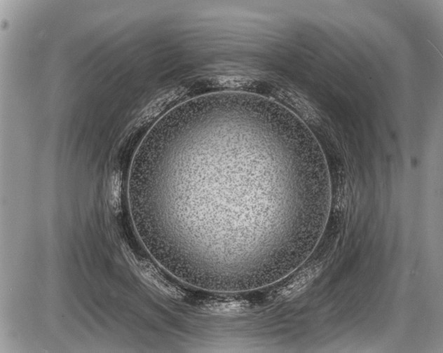 X0000085810646200703231337