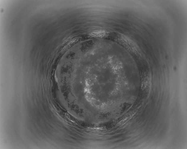 X0000085810647200703231337