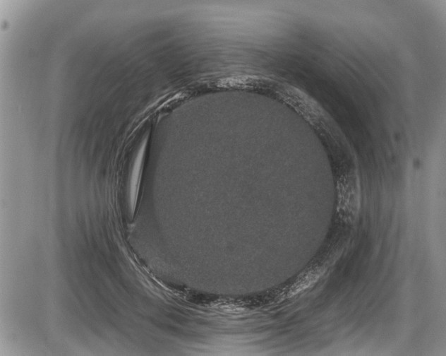 X0000085810648200703231337