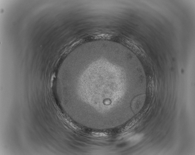 X0000085810649200703231337