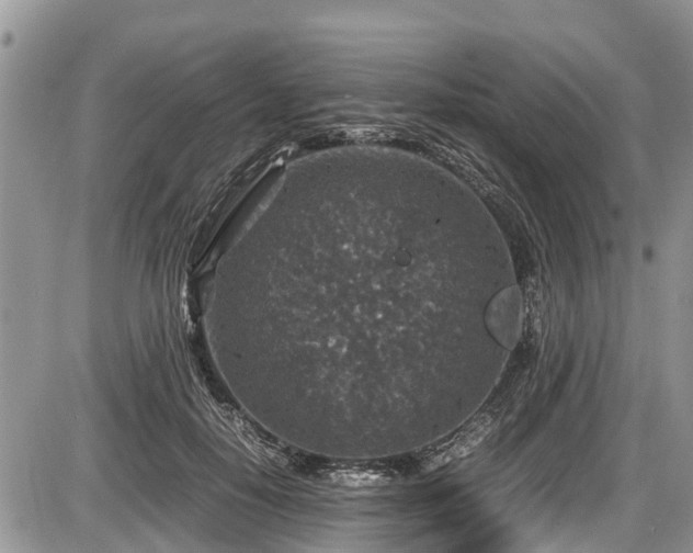 X0000085810650200703231337