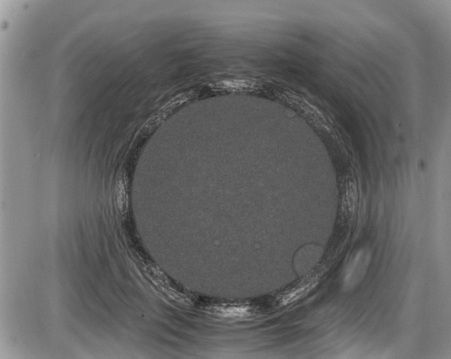 X0000085810651200703231337