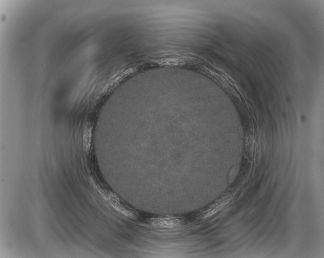 X0000085810652200703231337