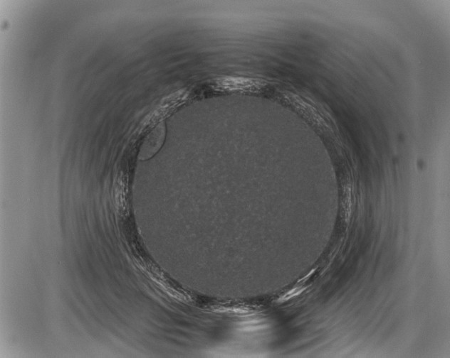 X0000085810653200703231337