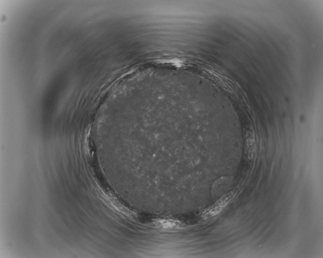 X0000085810654200703231337