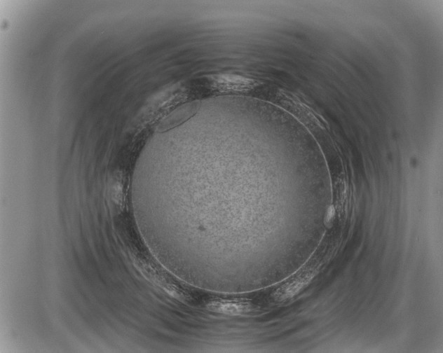 X0000085810655200703231337