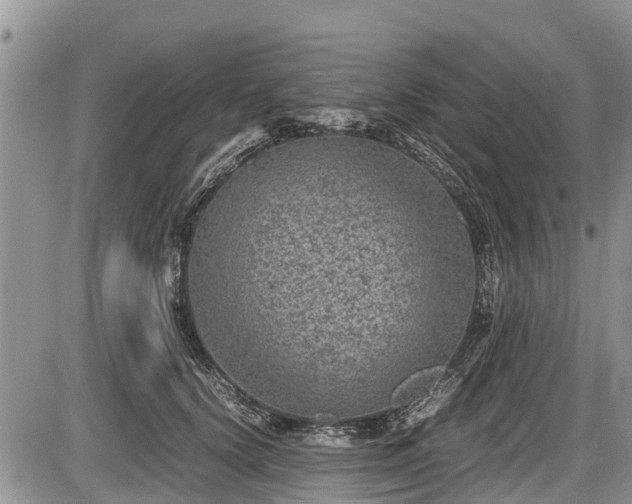 X0000085810656200703231337