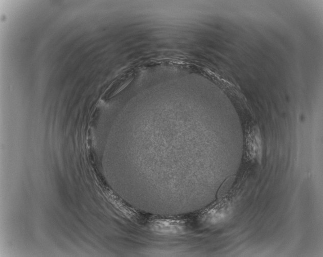 X0000085810657200703231337