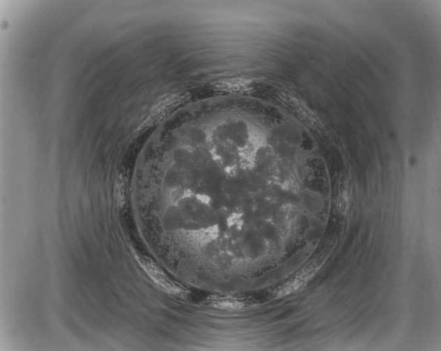 X0000085810658200703231337