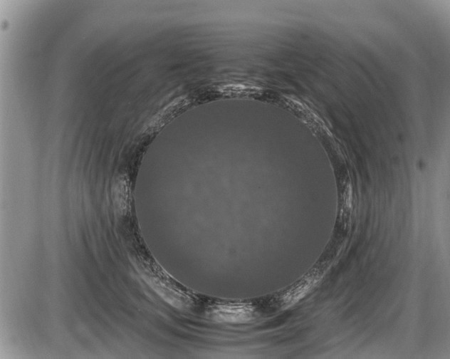 X0000085810659200703231337