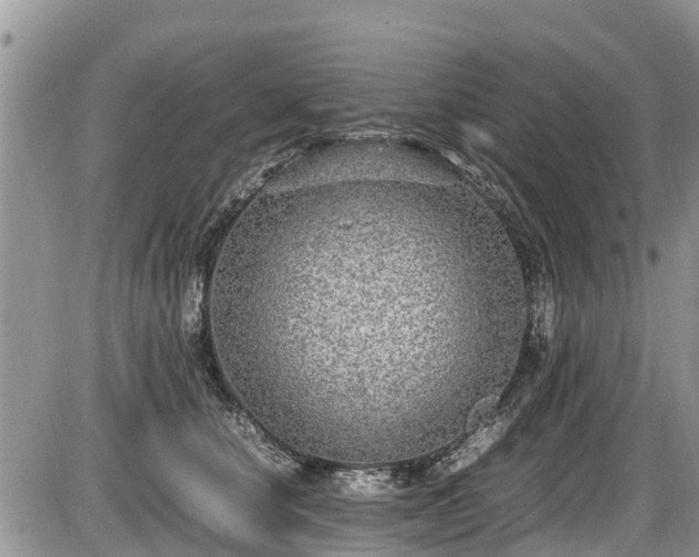 X0000085810660200703231337