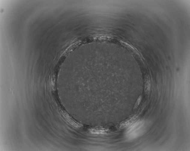 X0000085810661200703231337