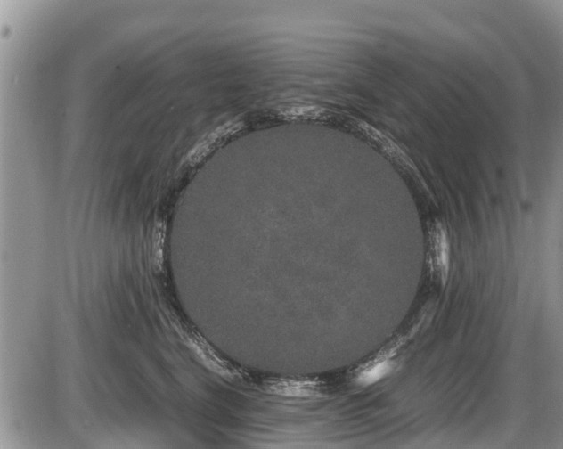 X0000085810664200703231337