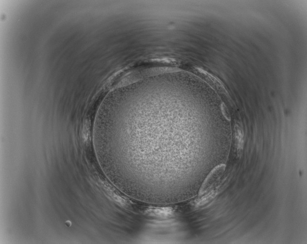 X0000085810665200703231337