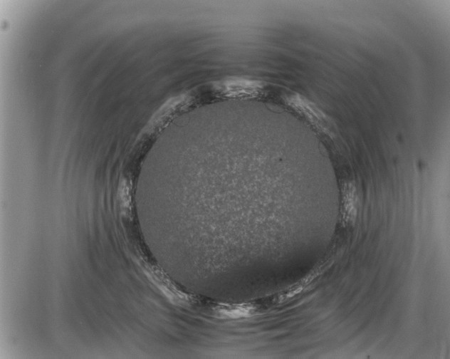 X0000085810667200703231337