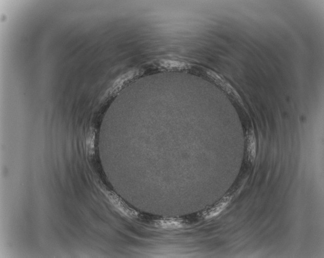 X0000085810668200703231337