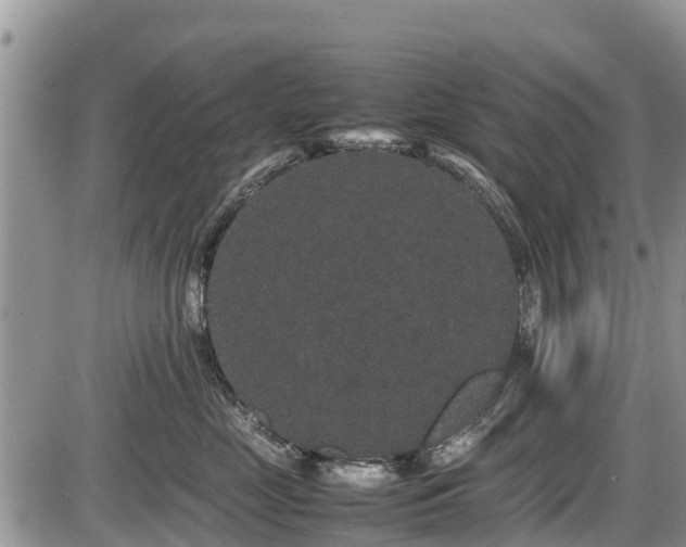 X0000085810669200703231337