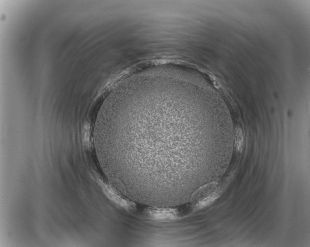 X0000085810670200703231337